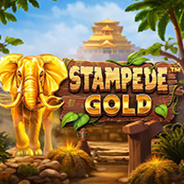 BetSoft Stampede Gold Game at Getwin