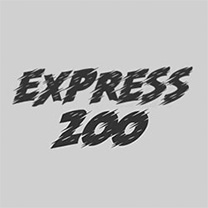 Hack Express 200