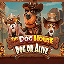 The Dog House Dog or Alive