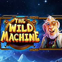 The Wild Machine